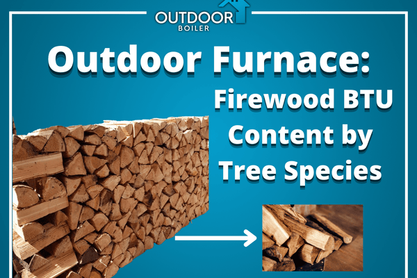 Outdoor Furnace: Firewood BTU Content by Tree Species