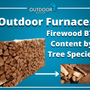 Outdoor Furnace: Firewood BTU Content by Tree Species