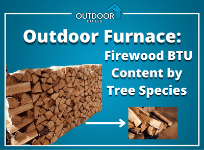 Outdoor Furnace: Firewood BTU Content by Tree Species