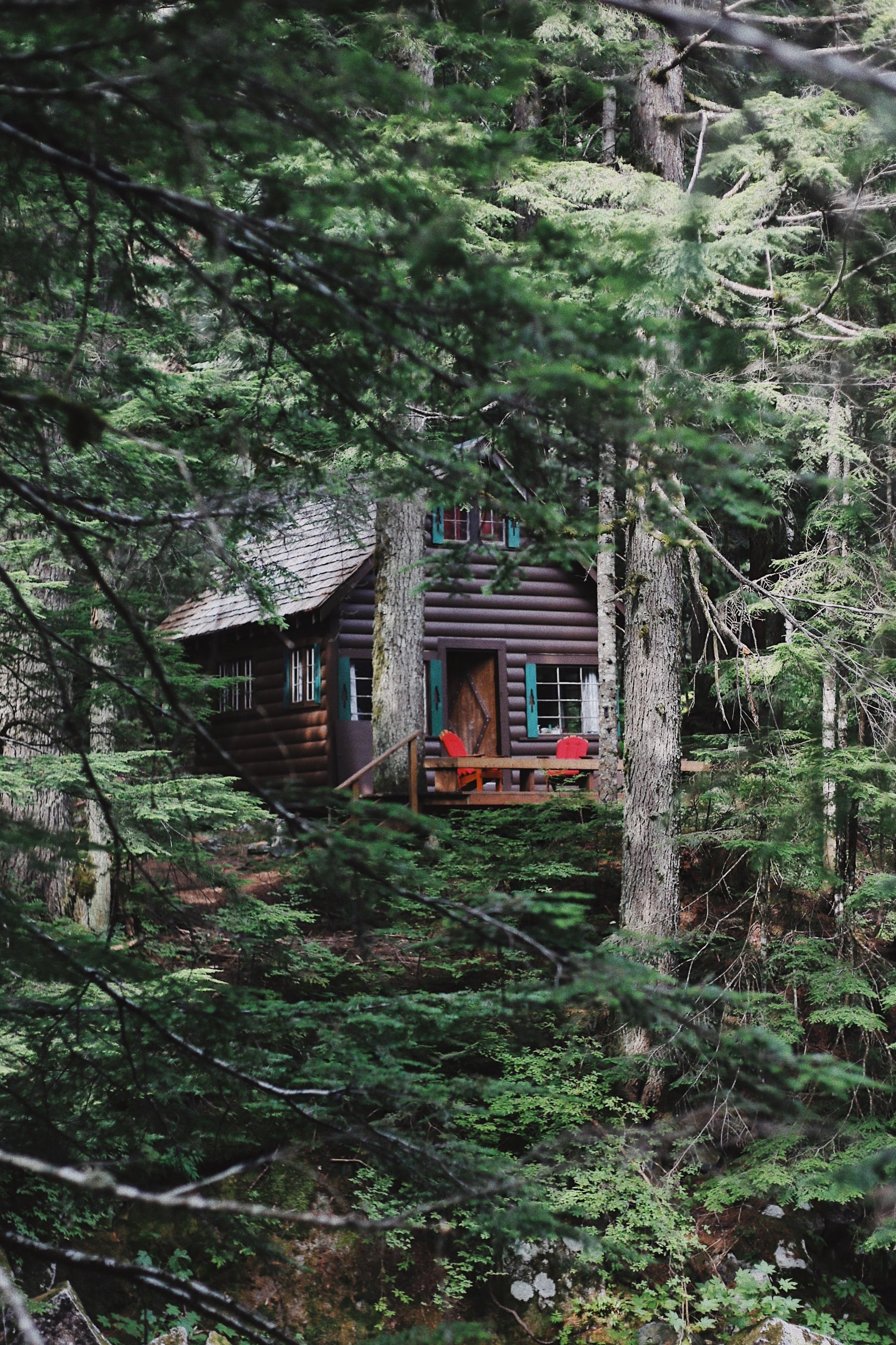 House in the Forest Image